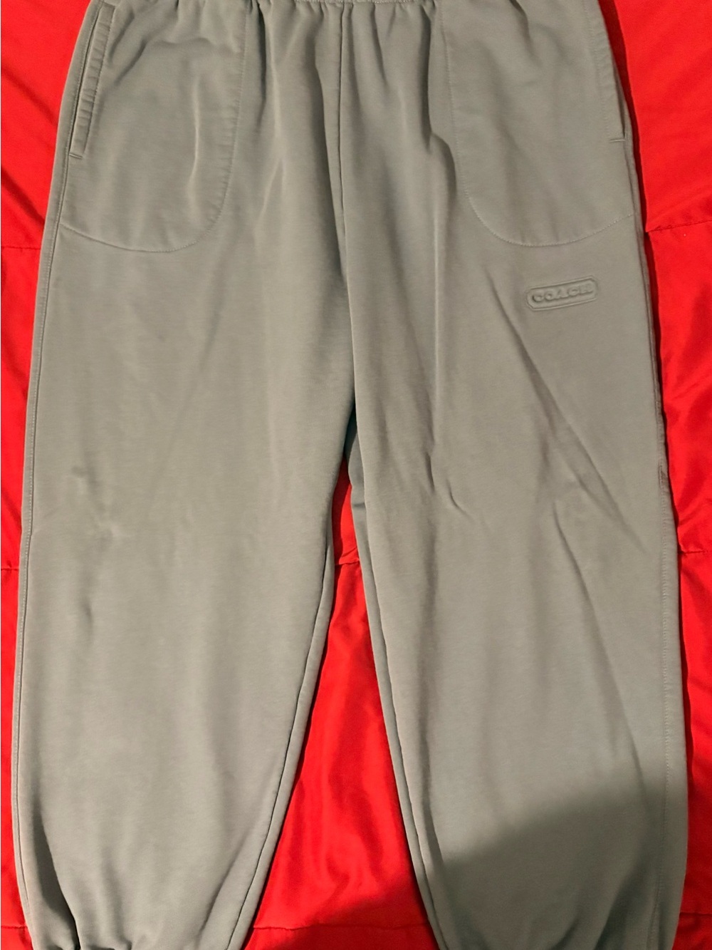 Coach Men’s Gray Casual Jogger Pants